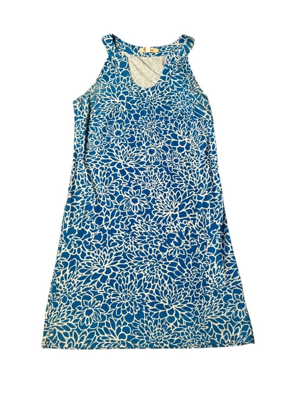 Women’s Aryeh Medium Blue and White Floral Sleeveless Maxi Dress